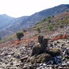 2012.01.21. - Golden Beach, Hegyek
